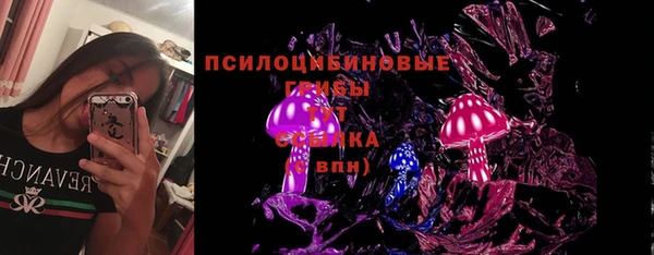 тгк Белокуриха