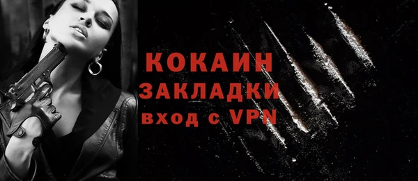 сатива Кулебаки