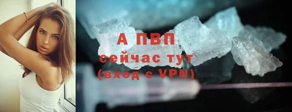 тгк Белокуриха