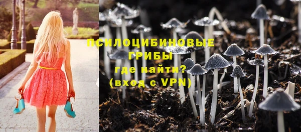 тгк Белокуриха