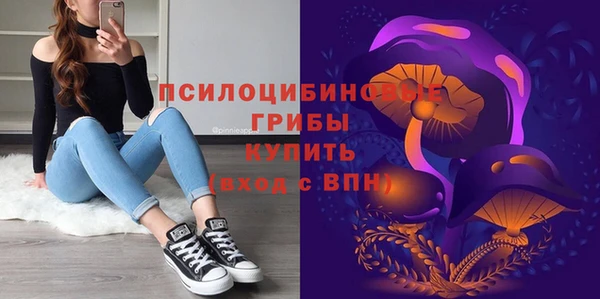 шишки Ельня