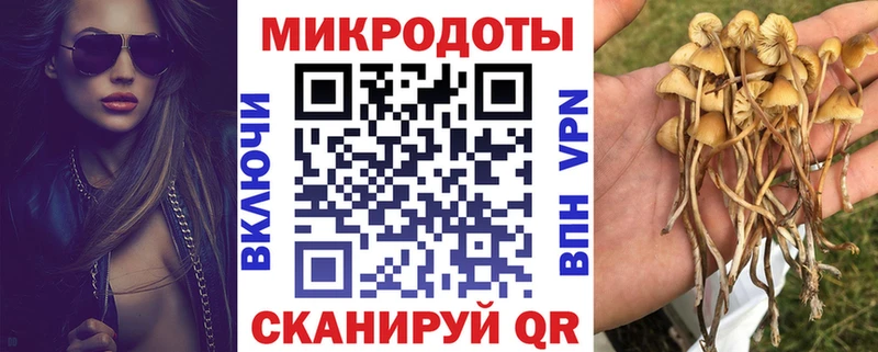 Галлюциногенные грибы Psilocybine cubensis  цена наркотик  Володарск 